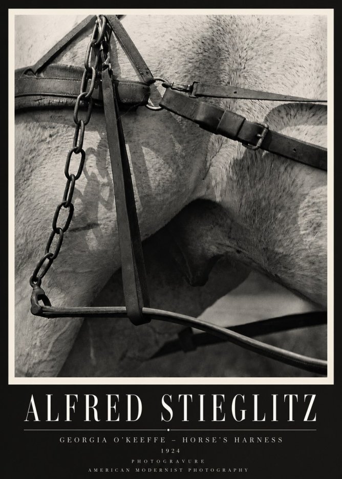 Alfred Stieglitz The Steerage I No4 - Poster