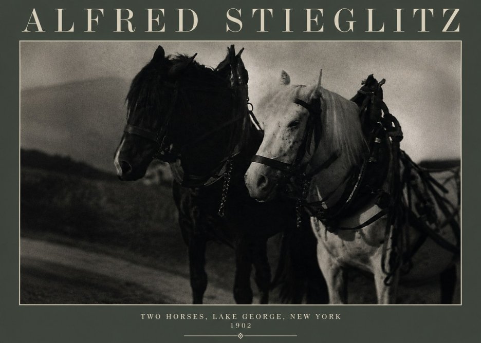 Alfred Stieglitz Two Horses, Lake George, New York No3 - Poster
