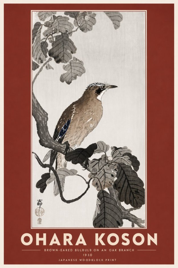 Ohara Koson Brown-eared Bulbul on an Oak Branch No6 - Poster
