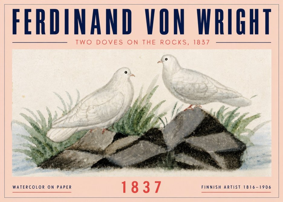 Ferdinand von Wright Two Doves on the Rocks, 1837 No4 - Poster