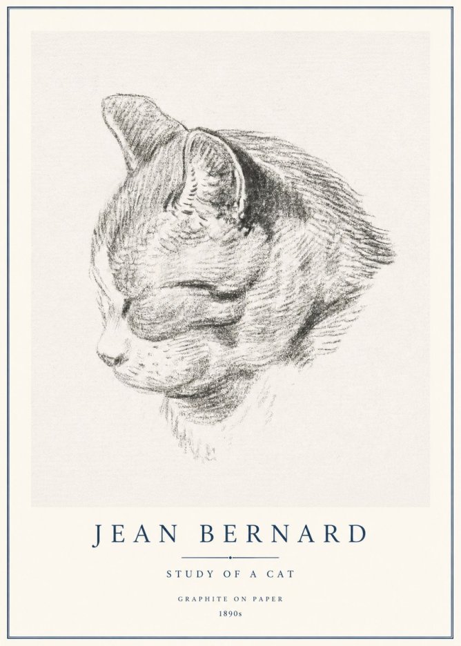 Jean Bernard Cat Study I No3 - Poster