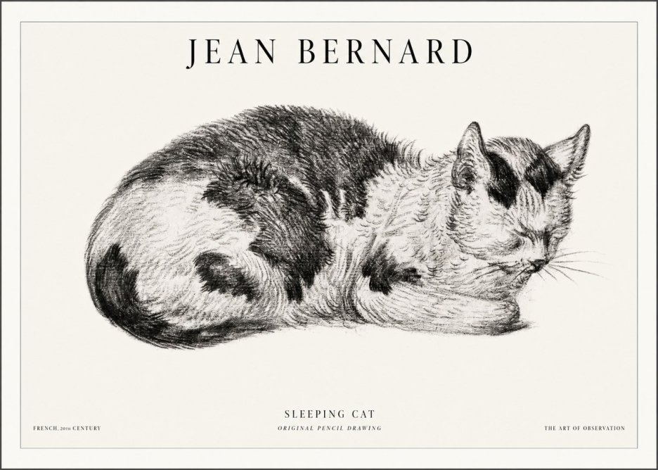 Jean Bernard Sleeping Cat I No5 - Poster