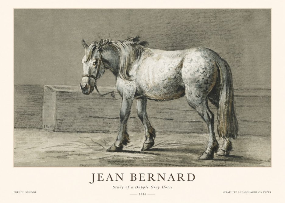 Jean Bernard Study of a Dapple Gray Horse No1 - Poster