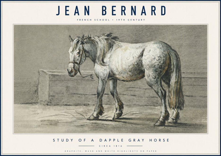 Jean Bernard Study of a Dapple Gray Horse No6 - Poster