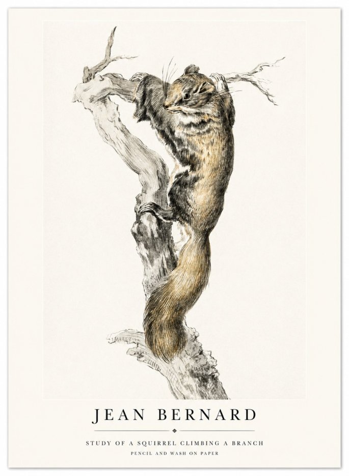 Jean Bernard Study of a Squirrel Climbing a Branch No1 - Poster
