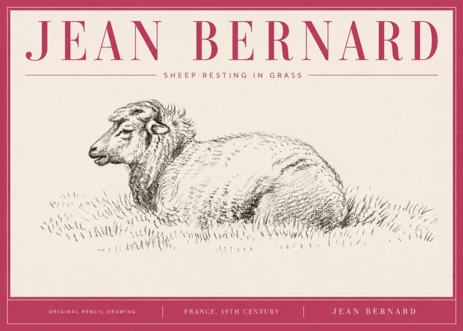 Jean Bernard Sheep Resting in Grass No4 - Poster