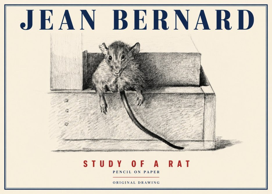 Jean Bernard Study of a Rat I No4 - Poster