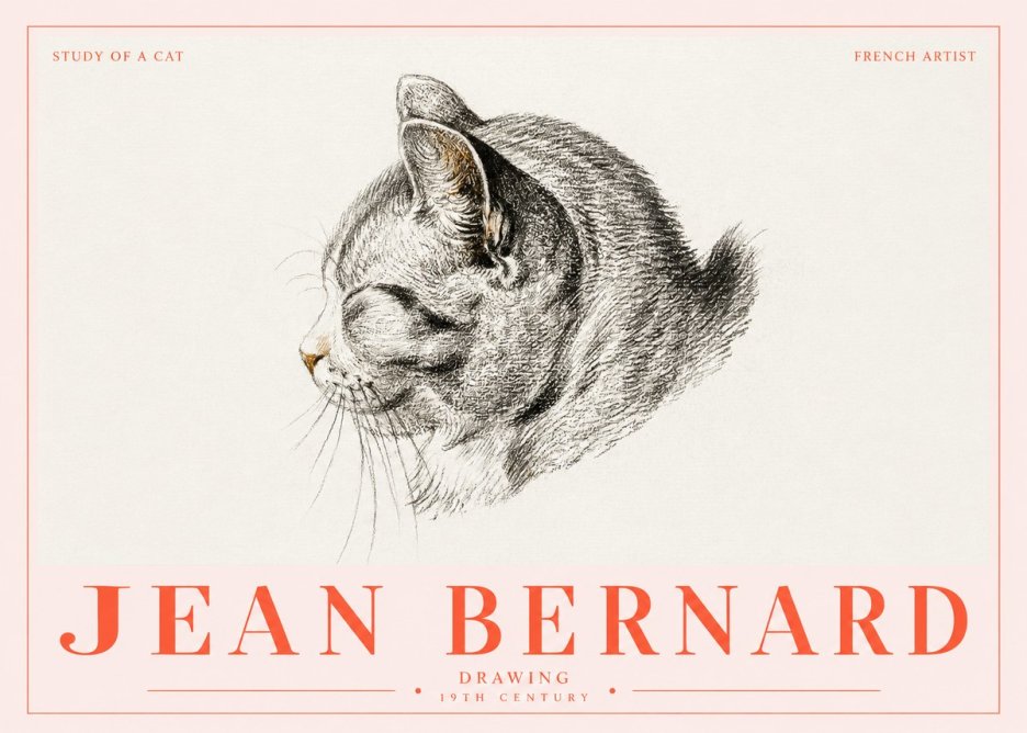 Jean Bernard Study of a Cat I No5 - Poster
