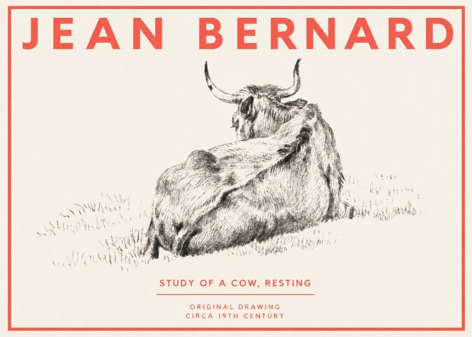 Jean Bernard Resting Bovine - Study in Graphite No4 - Poster