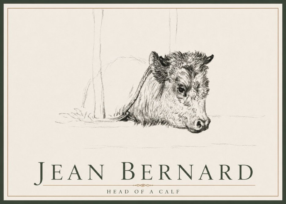 Jean Bernard Study of a Calf I No4 - Poster