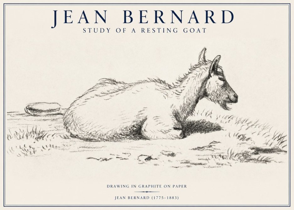 Jean Bernard Study of a Resting Goat No1 - Poster