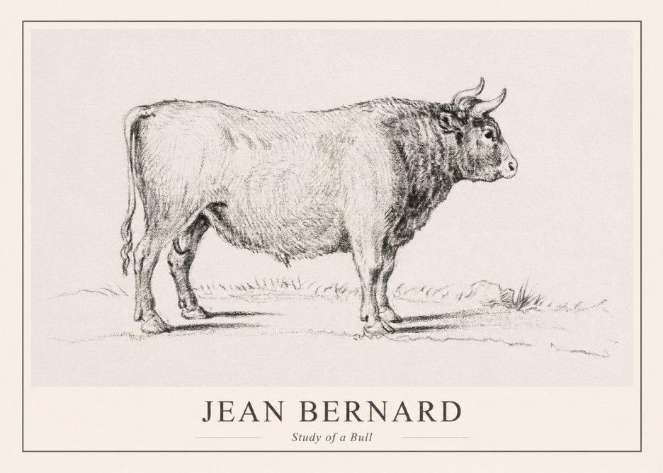 Jean Bernard Study of a Bull I No1 - Poster