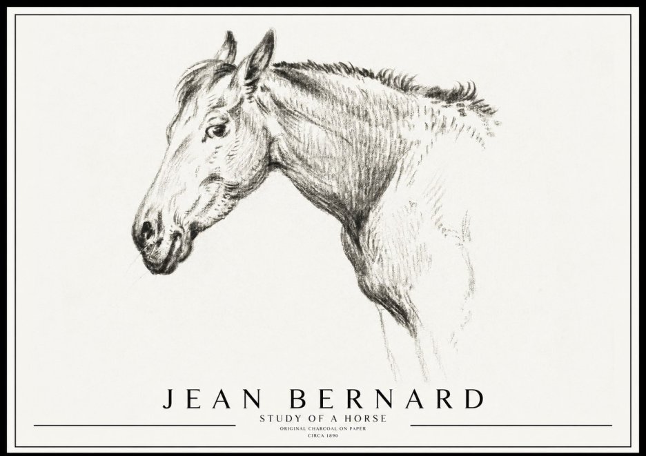 Jean Bernard Study of a Horse VI No3 - Poster