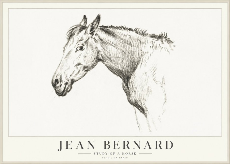 Jean Bernard Study of a Horse VI No4 - Poster