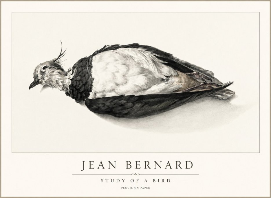 Jean Bernard Study of a Bird II No2 - Poster