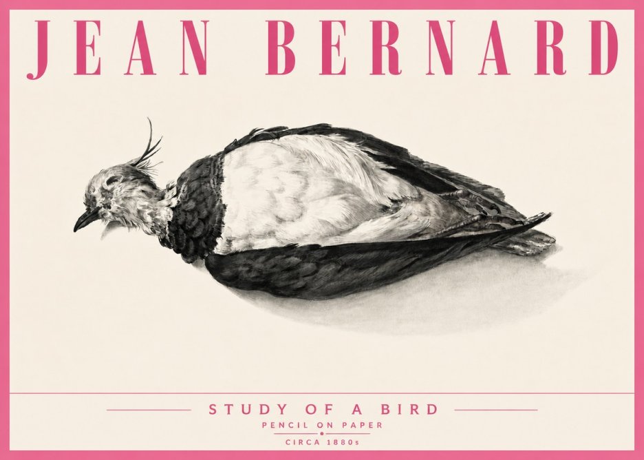 Jean Bernard Study of a Bird II No6 - Poster