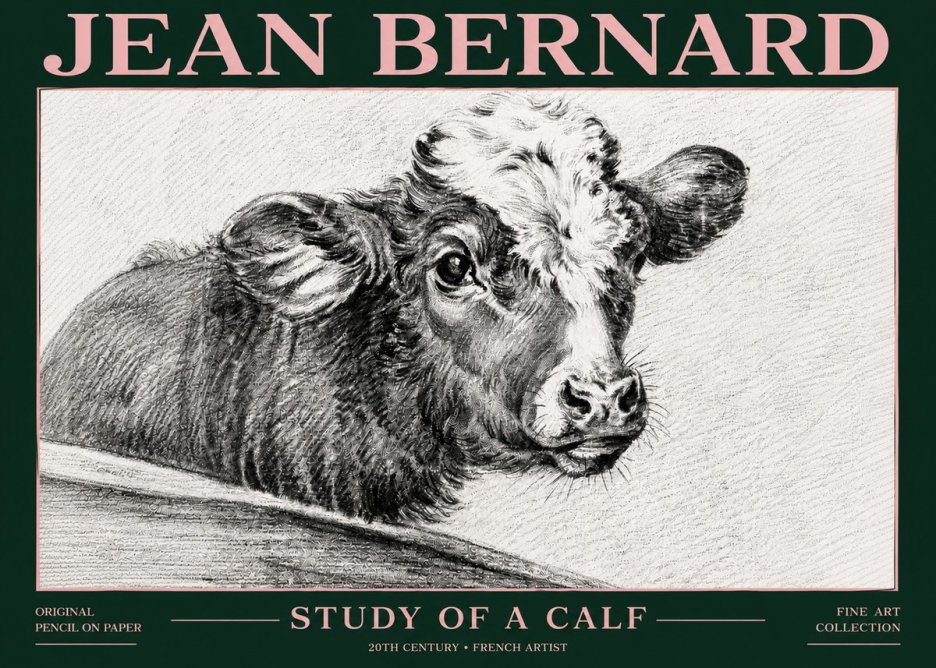 Jean Bernard Study of a Calf II No6 - Poster