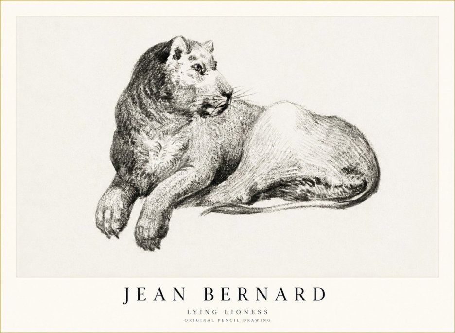 Jean Bernard Lying Lioness No1 - Poster