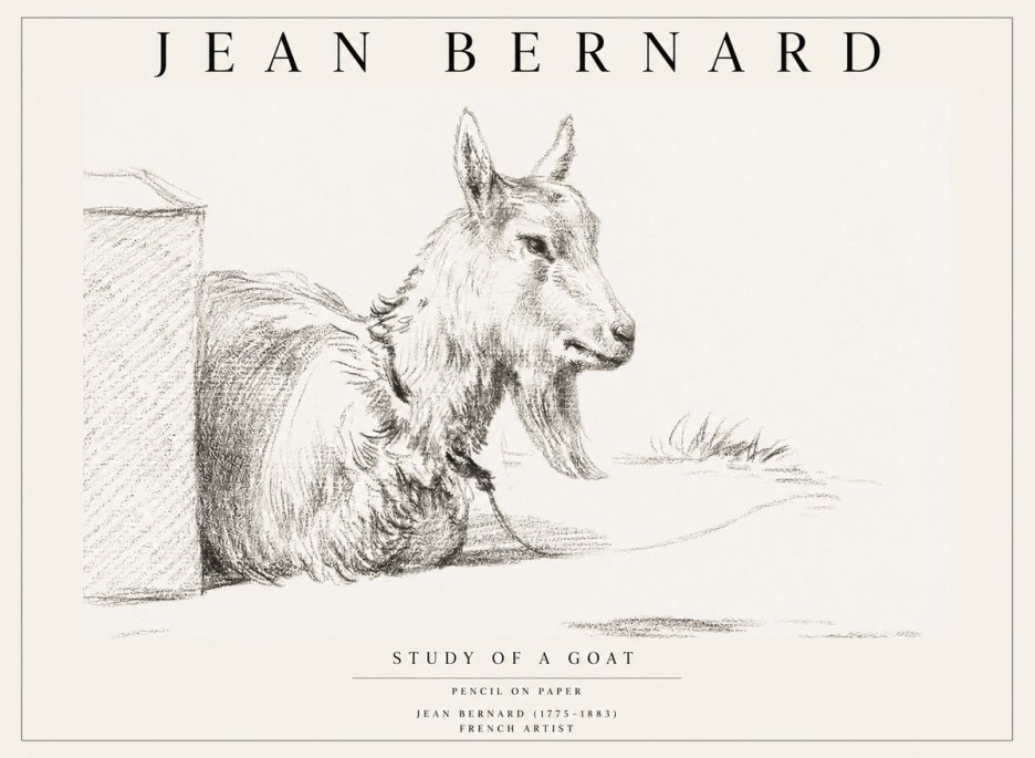 Jean Bernard Study of a Goat IV No1 - Poster