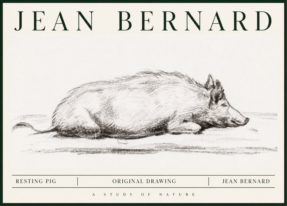 Jean Bernard Resting Pig I No1 - Poster