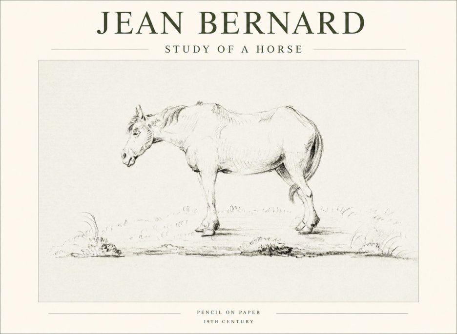 Jean Bernard Study of a Horse IX No1 - Poster