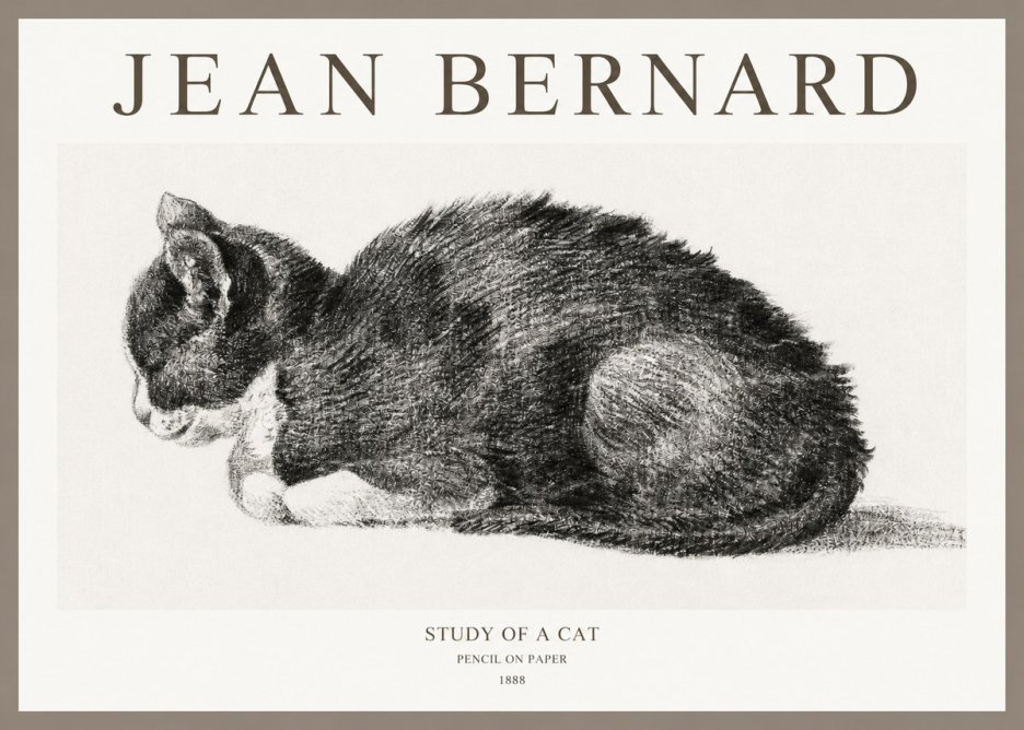 Jean Bernard Sleeping Cat VII No6 - Poster
