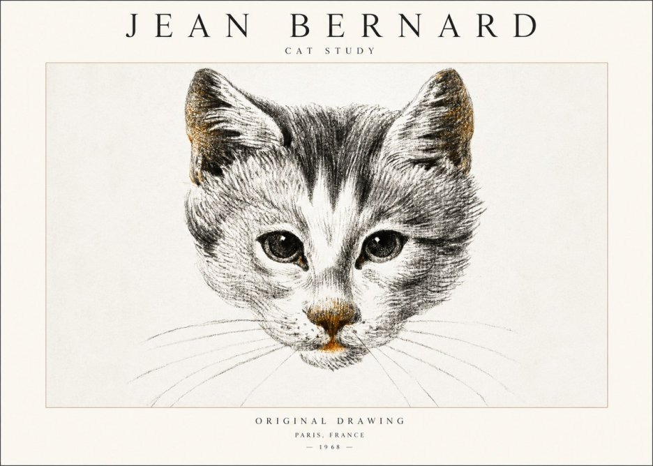 Jean Bernard Cat Study IX No6 - Poster