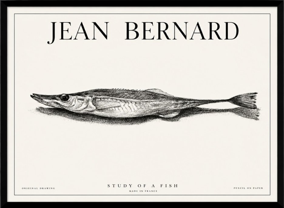 Jean Bernard Needlefish No6 - Poster