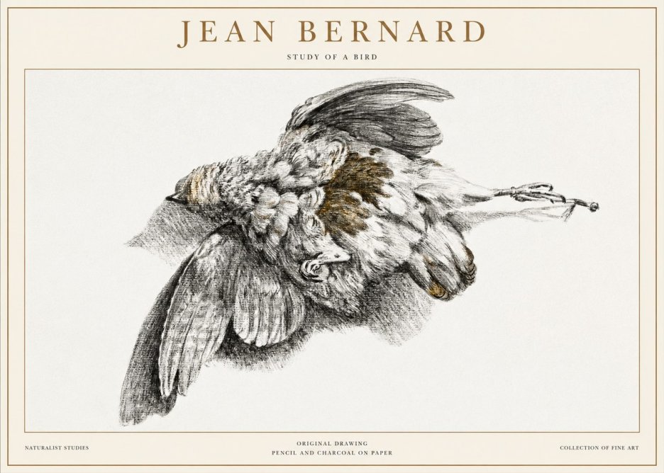 Jean Bernard Study of a Bird III No1 - Poster