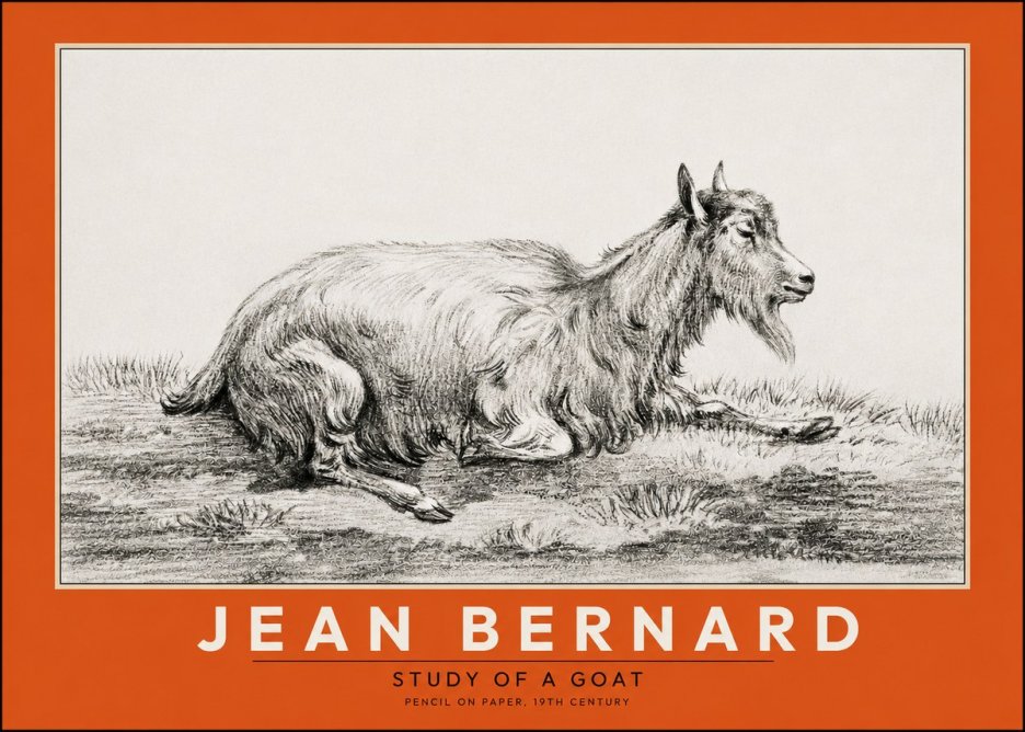 Jean Bernard Study of a Goat V No2 - Poster