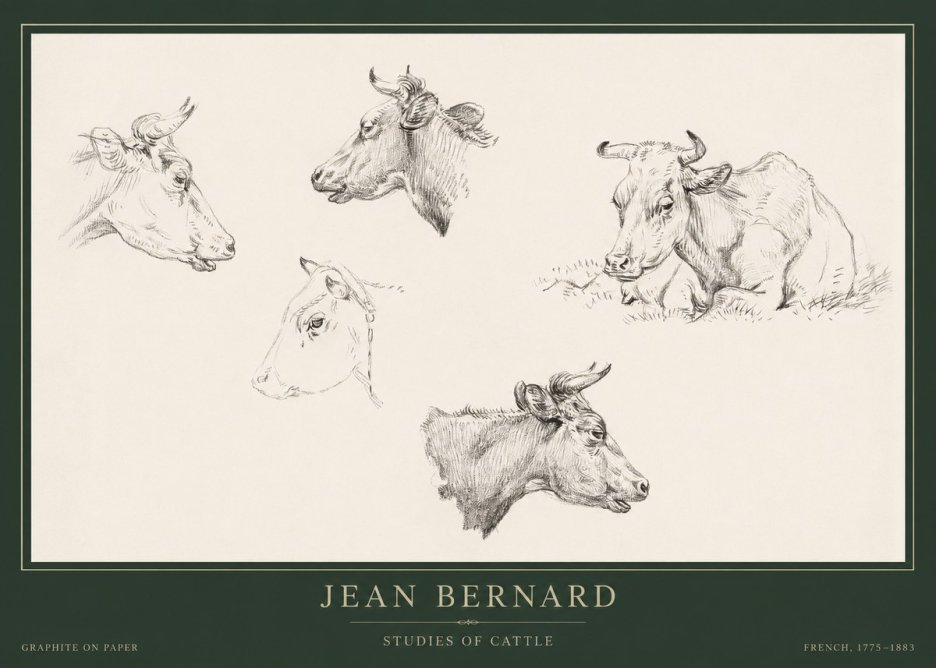 Jean Bernard Studies of Cows I No5 - Poster