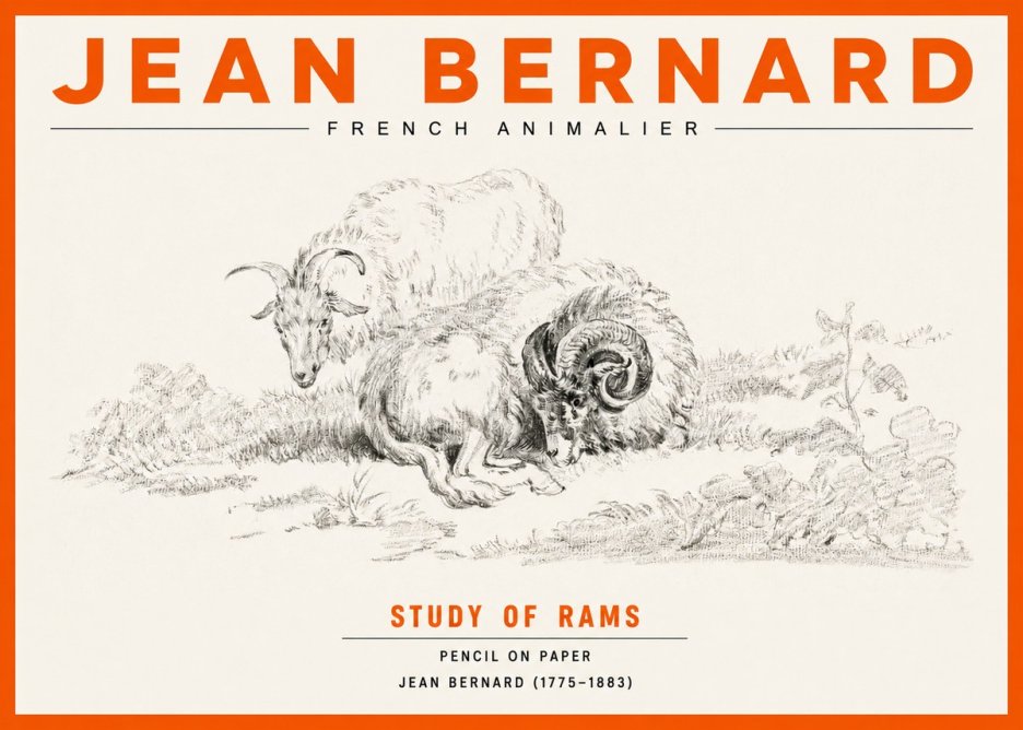 Jean Bernard Study of Sheep No3 - Poster