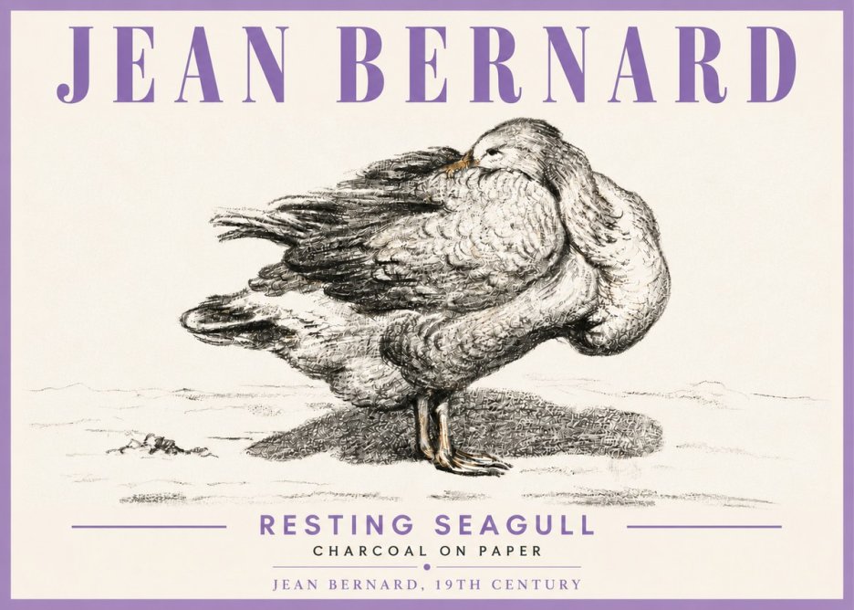 Jean Bernard Resting Seagull No6 - Poster