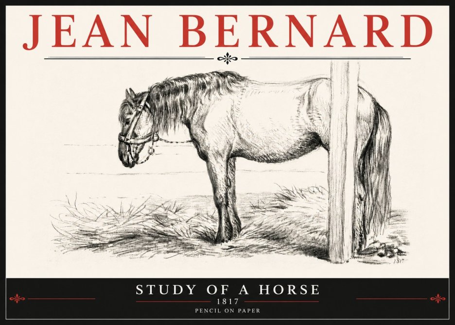 Jean Bernard Study of a Horse XII No6 - Poster