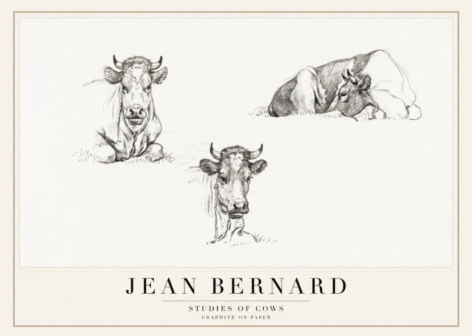 Jean Bernard Studies of Cows II No1 - Poster