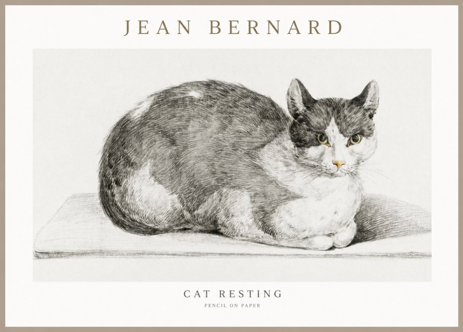 Jean Bernard Cat Study XI No3 - Poster