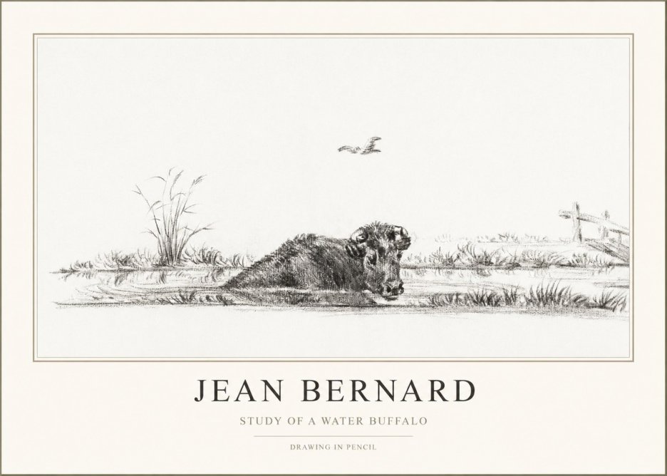 Jean Bernard Study of a Water Buffalo No1 - Poster
