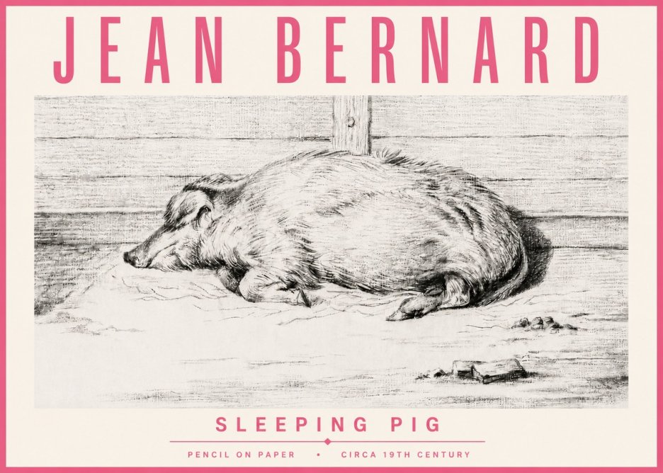 Jean Bernard Sleeping Pig I No4 - Poster