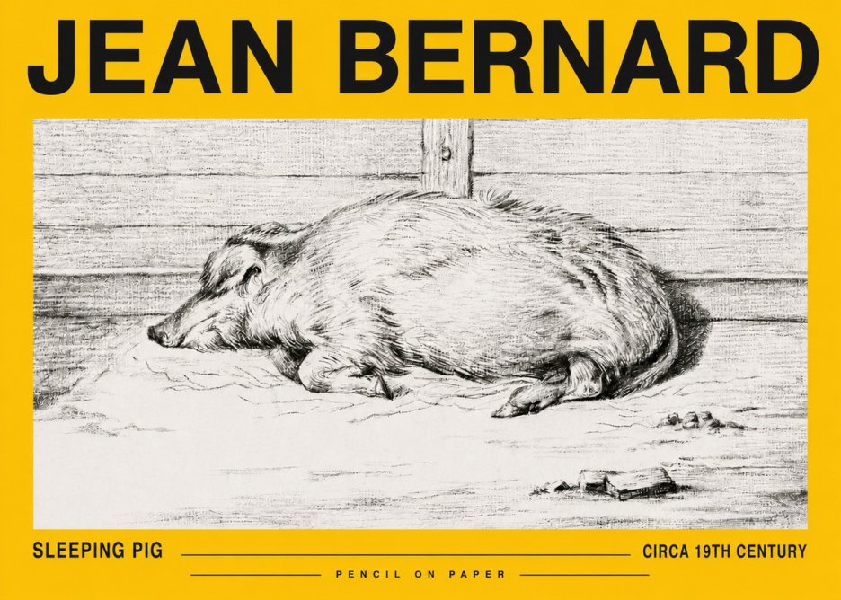 Jean Bernard Sleeping Pig I No5 - Poster