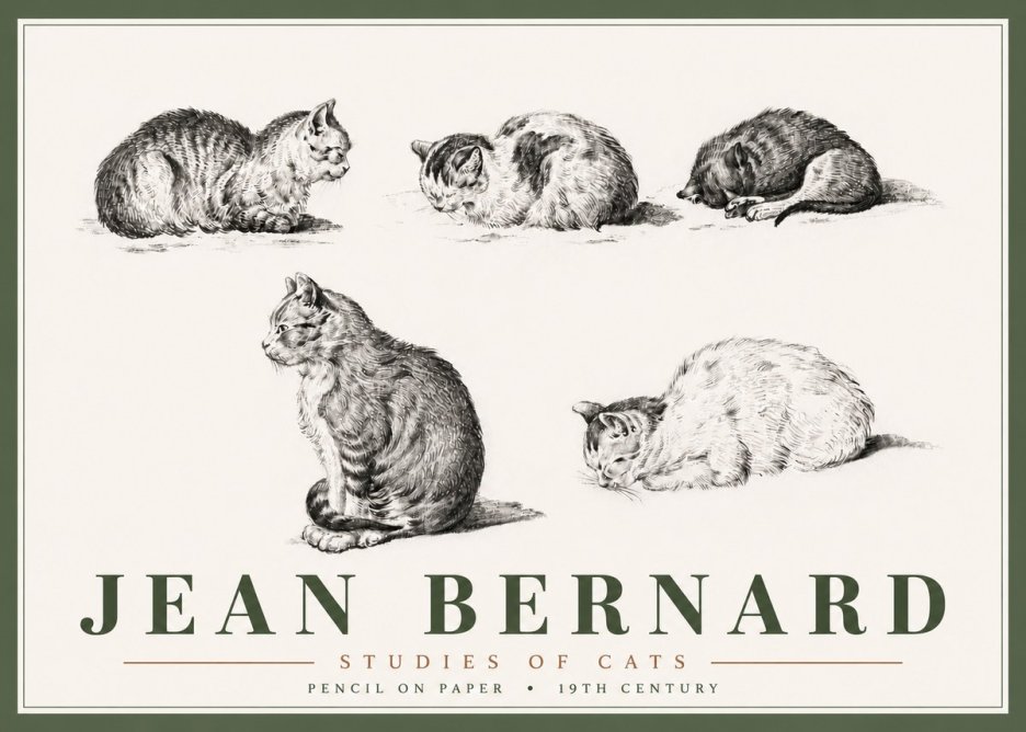 Jean Bernard Studies of Cats No6 - Poster