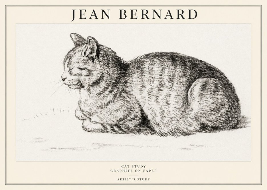 Jean Bernard Cat Study XII No1 - Poster