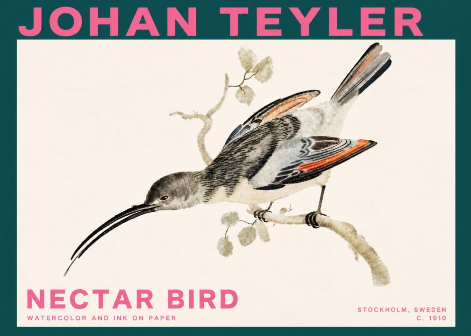Johan Teyler Nectar Bird No3 - Poster