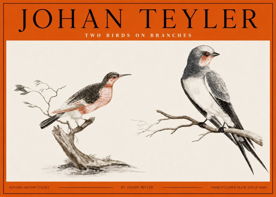 Johan Teyler Two Birds on Branches No2 - Poster