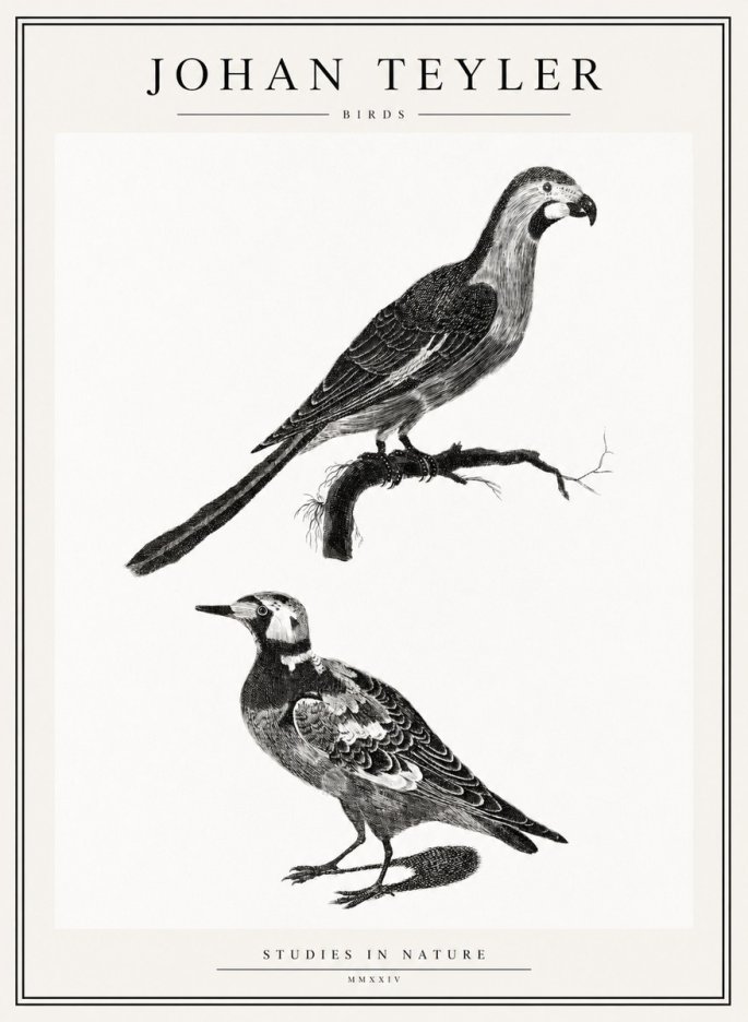 Johan Teyler Birds - Study of Two Species No2 - Poster