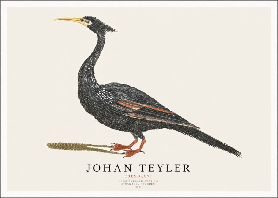 Johan Teyler Cormorant No1 - Poster