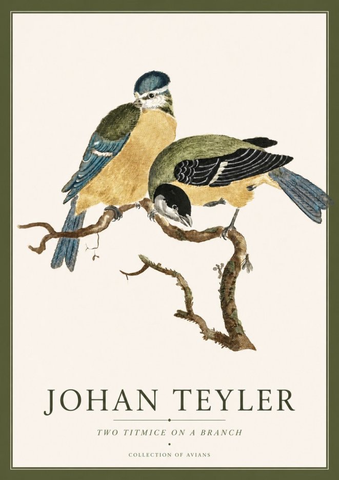 Johan Teyler Two Titmice on a Branch No4 - Poster