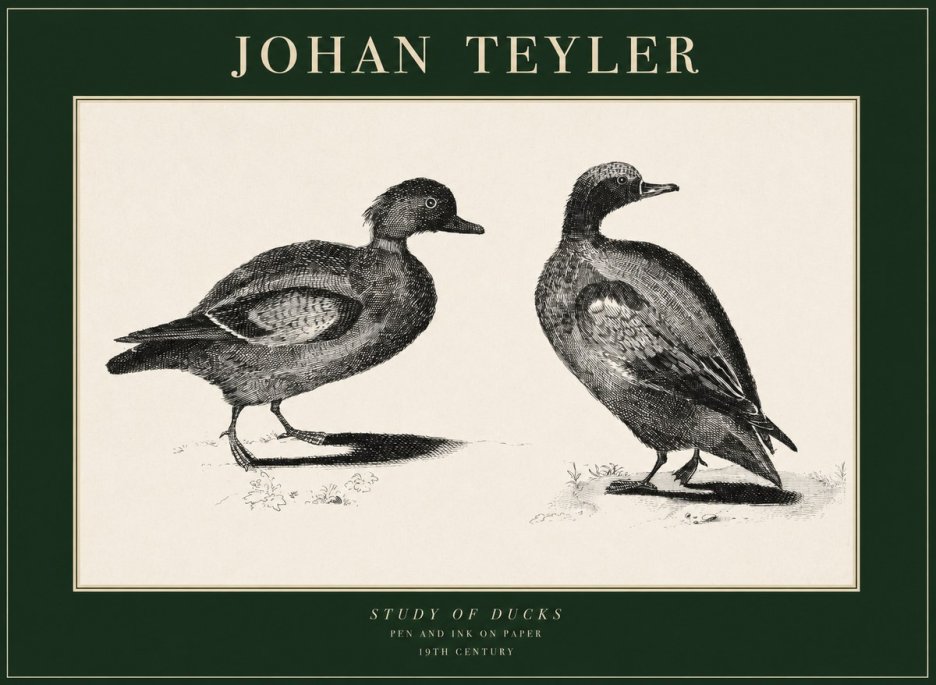 Johan Teyler Study of Ducks No1 - Poster