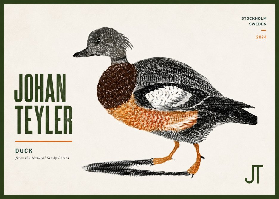 Johan Teyler Duck II No6 - Poster