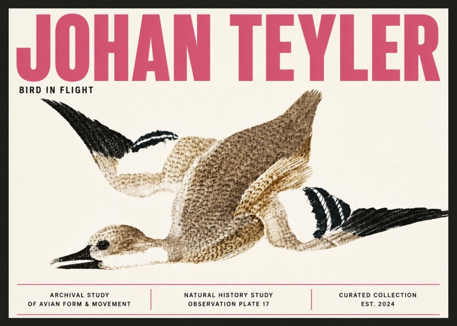 Johan Teyler Bird in Flight II No6 - Poster