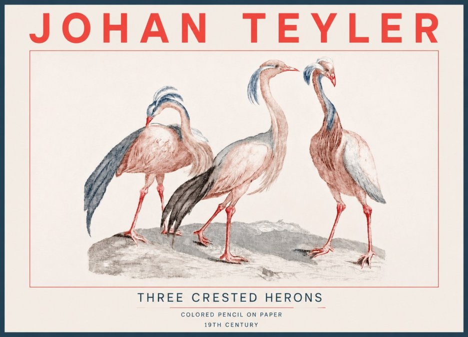 Johan Teyler Three Crested Herons No4 - Poster